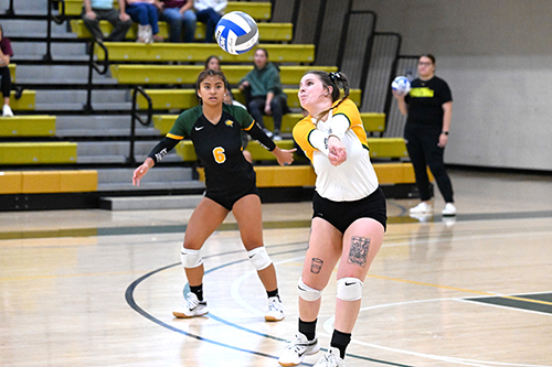 woman playing volleyball