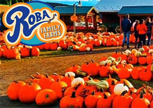 pumpkin patch